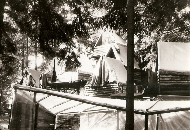 stalkov78h